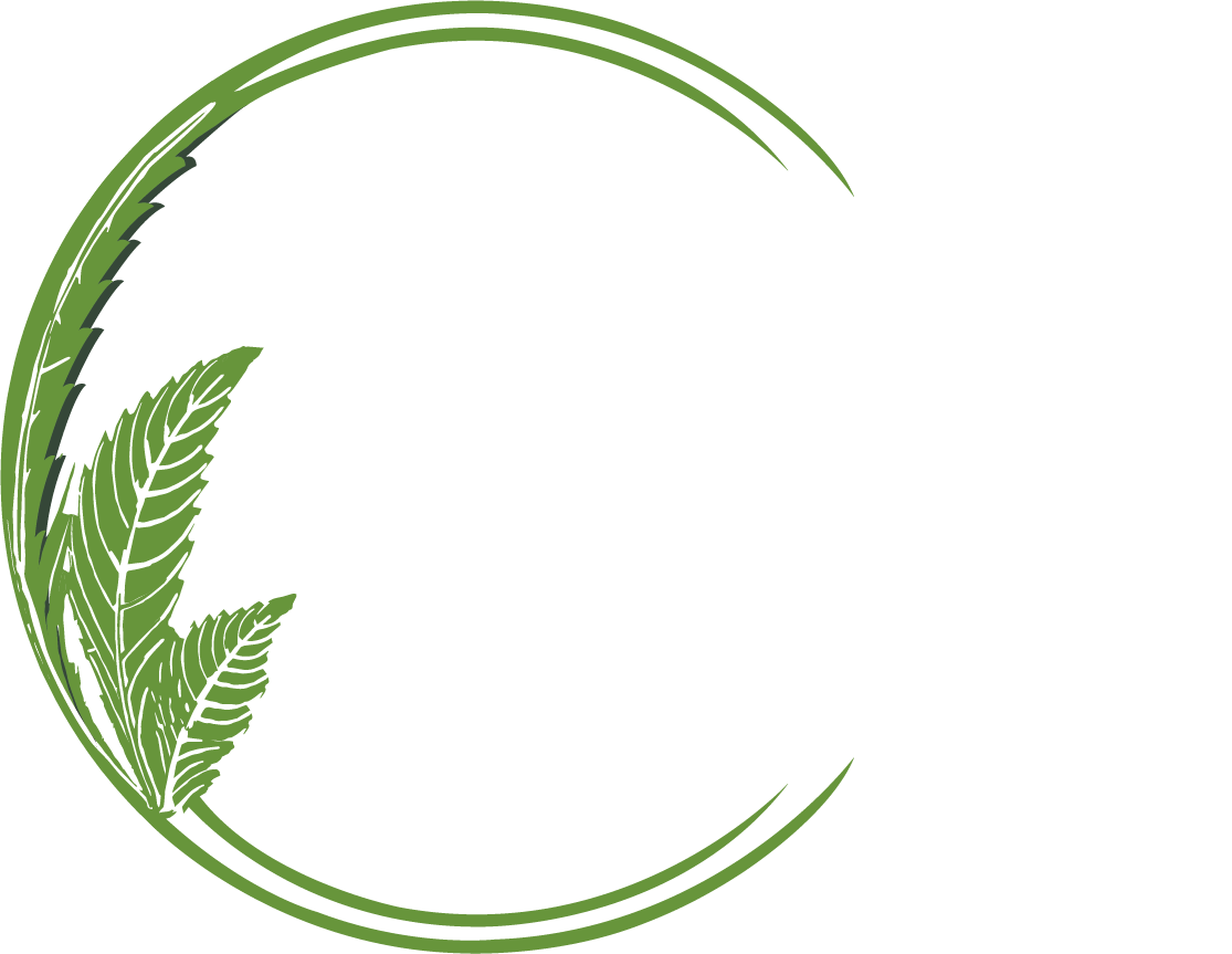 Zamani Organics